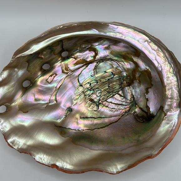Vintage Red Abalone Shell. Excellent luster. Collector piece. - Picture 8 of 12